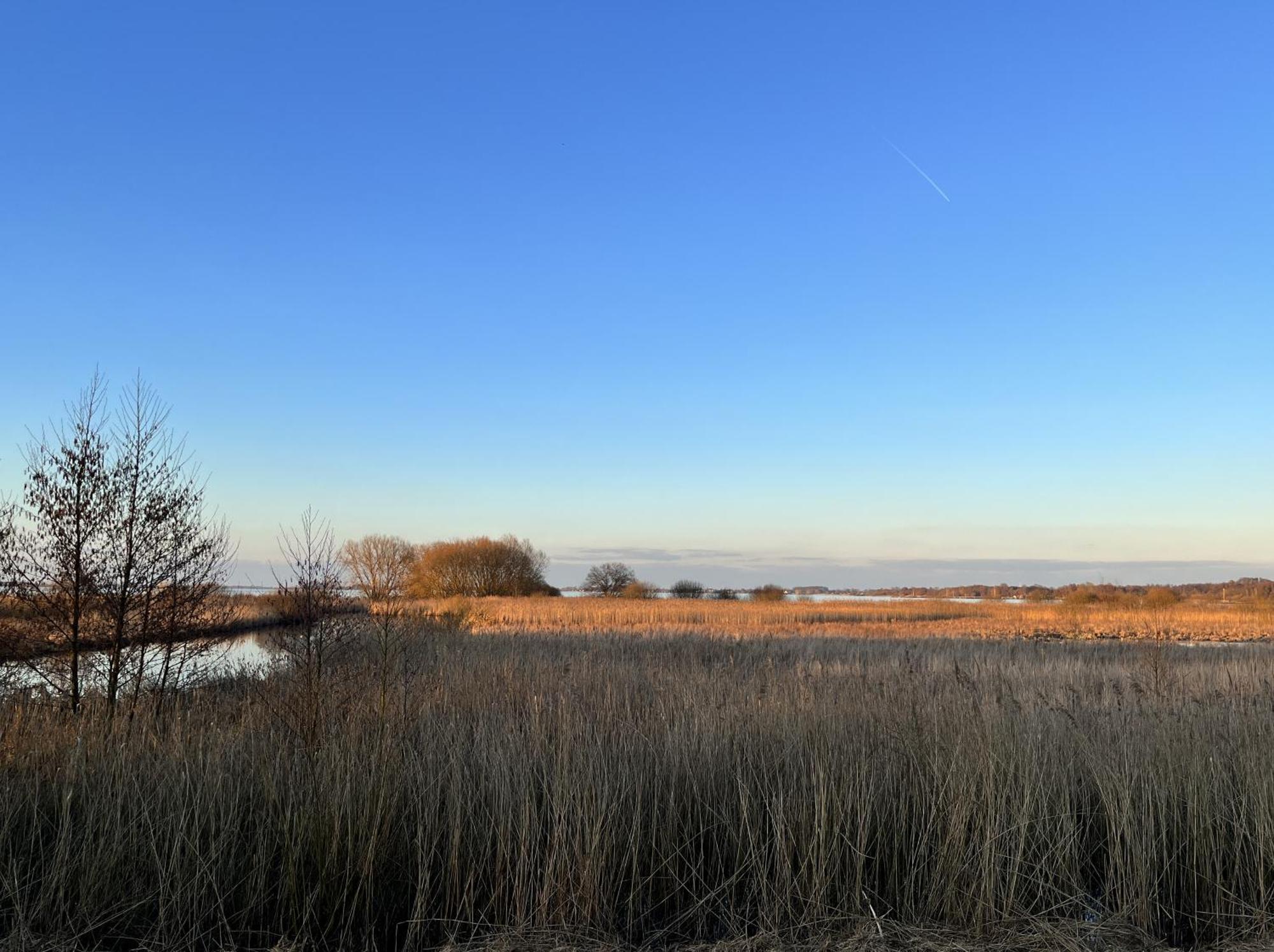 Hueder Hof Am Duemmer See Aparthotel Szoba fotó